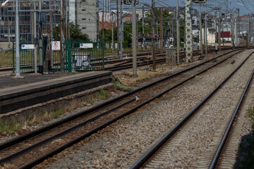 railway tracks in the distance