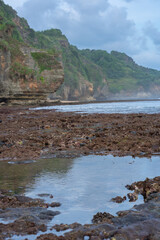 Beach view at low tide.