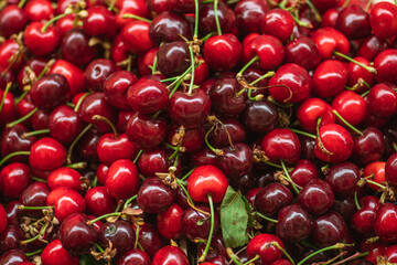 Fresh ripe red cherry or cherries fruit in a wooden box in a farmer agricultural open air market, seasonal healthy food. Concept of biological, bio products, bio ecology