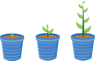 plant growing in a pot