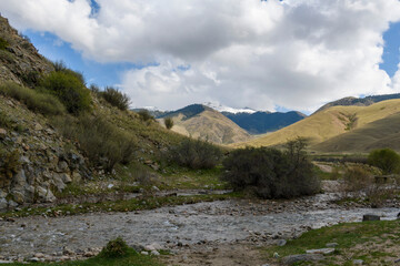 River. Summer mountain landscape. Kyrgyzstan mountains. Issyk-Kul region.
