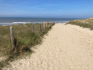 Fototapeta na wymiar Weg zum Strand durch die Sanddünen an der Nordsee in Holland Noordwijk 
