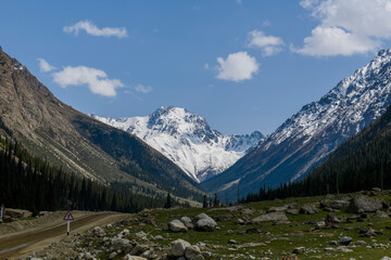 Summer mountain landscape. Kyrgyzstan mountains. Issyk-Kul region.