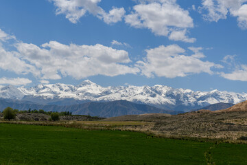 Summer mountain landscape. Kyrgyzstan mountains. Issyk-Kul region.