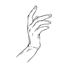 Hand drawn gesture sketch vector illustration line art