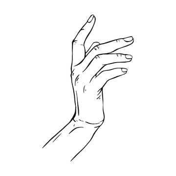 recommend clip art: Hand drawn gesture sketch vector illustration line art