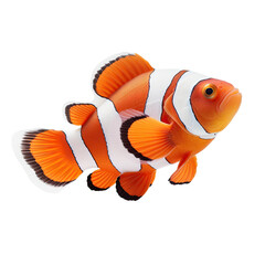 Clown anemonefish isolated on transparent background. Created with Generative AI tools - obrazy, fototapety, plakaty