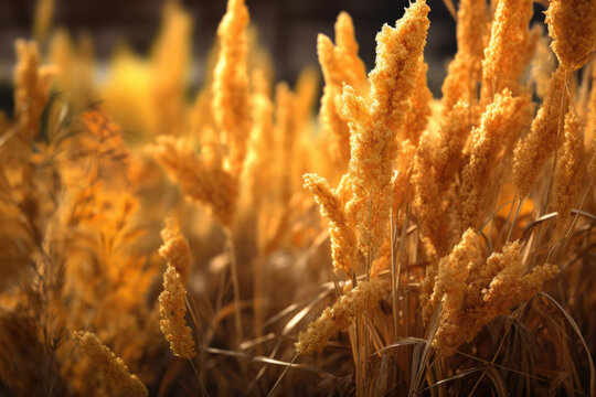 golden foxtail created with Generative AI technology