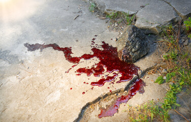 Bloodied stone lies on the ground