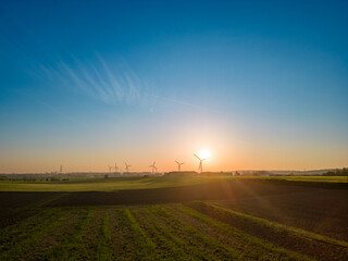 Aerial view shot by a drone flying over an agraric field during sunset. Drone flies over green and...