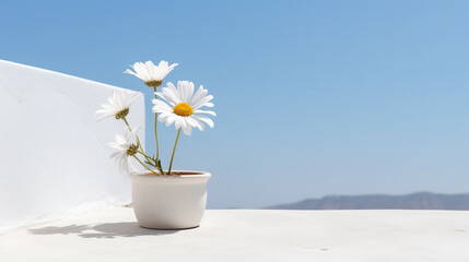 Цветок в вазе на фоне голубого неба, ромашки