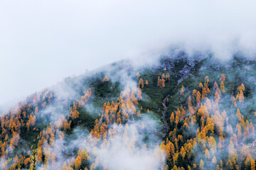 autumn in the mountains