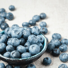 Blueberries with water drops in a ceramic bowl and scattered around.