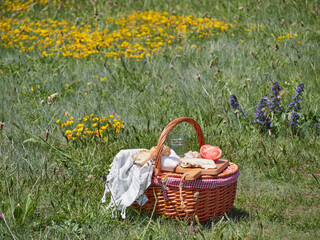 Picnic basket in a flowery meadow. Outdoor dining in spring and summertime.