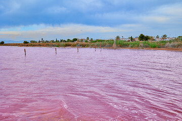 Beautiful salt lake with pink colored water. View from the lake to the shore. Pink Lake of Torrevieja.