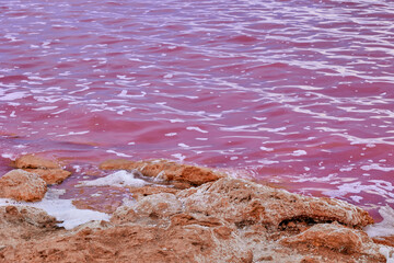 Salt and foam on a shore in a beautiful salt lake with pink colored water. Pink Lake of Torrevieja.