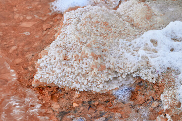 Salt and foam on a shore in a beautiful salt lake with pink colored water. Pink Lake of Torrevieja.