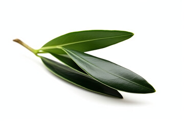 Olive leaf and Olive created with Generative AI technology