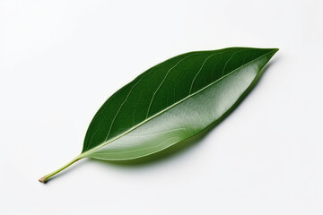 Olive leaf and Olive created with Generative AI technology