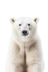 Foto op Canvas close up of a polar bear isolated on a transparent background © Perfect PNG