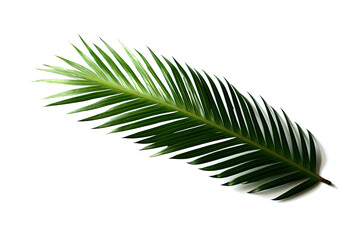 Palm leaf created with Generative AI technology