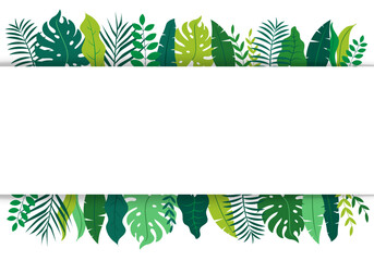tropical floral leaf and frame on white banner background. Fresh rainforest tropical plants frame background. monstera and palm tree copy space center. vector illustration flat design. - obrazy, fototapety, plakaty