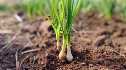 spring onion in ground created with Generative AI technology