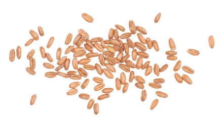 Organic peeled spelt grains isolated on white, top view