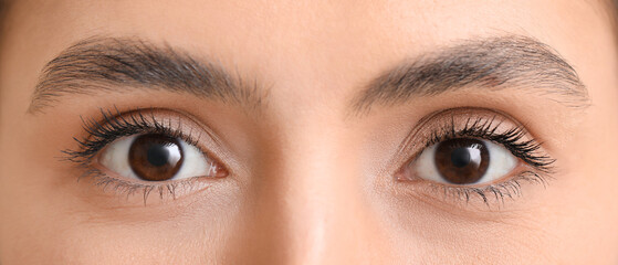 Fototapeta premium Woman with brown eyes, closeup