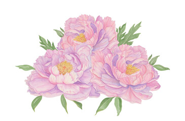 Hand-painted bouquet of pink peonies.