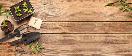 Pack with seeds, green seedlings and gardening tools on wooden background with space for text © Pixel-Shot