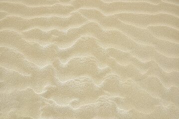 Fototapeta na wymiar Texture of sea sand with small waves