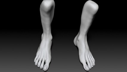 Female Foot Sculpt 3d render of background. 3d rendering