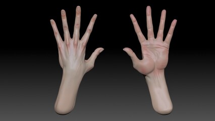 Fototapeta na wymiar Female Arm and Hand Sculpt pose render of background. 3d rendering