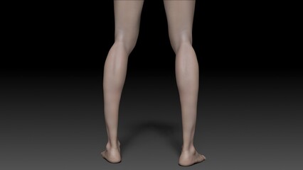 FemaleLeg Sculpt 3d render of background. 3d rendering