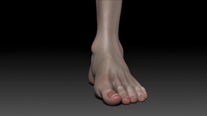 Fototapeta premium FemaleLeg Sculpt 3d render of background. 3d rendering