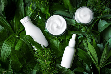 Organic skin care products on green leaves