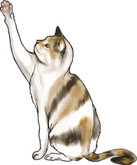 Cat sitting and playing watercolor illustration