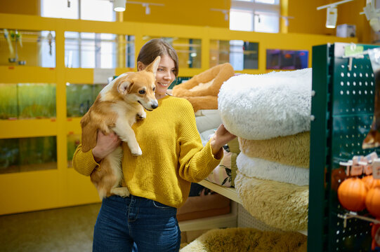 Young woman holding corgi dog on hands choosing sleeping place at pet shop