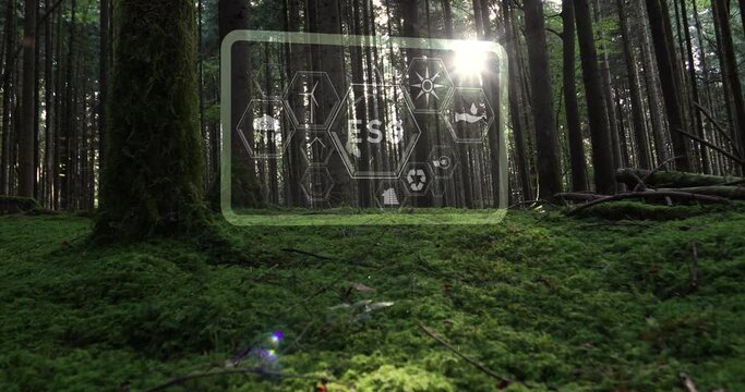 Sunny mossy forest with ESG icons animation. Environment, society and governance. Green sunlight in mossy forest background. 