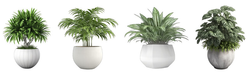 Collection set of ornamental plants in pots on a transparent background, generative ai