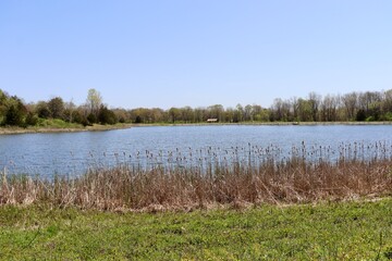 The peaceful lake in the country on a sunny day.