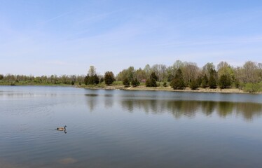 The calm peaceful lake in the country on a sunny day.