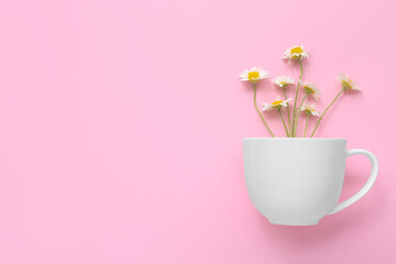 Cup with chamomile flowers on pink background