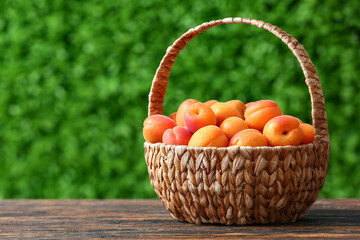 Wicker basket with fresh apricots on wooden table outdoors