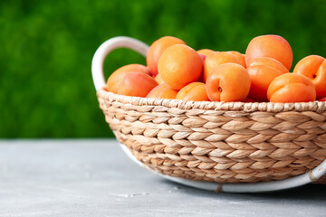 Wicker basket with fresh apricots on table outdoors