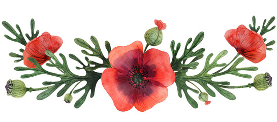 Seamless pattern with papaver poppy flowers