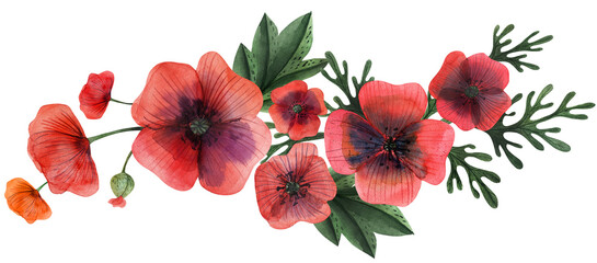 Seamless pattern with papaver poppy flowers
