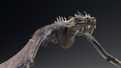 Obraz premium Wyvern type Dragon pose render of background. 3d rendering
