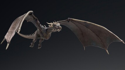 Wyvern type Dragon pose render of background. 3d rendering